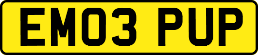 EM03PUP