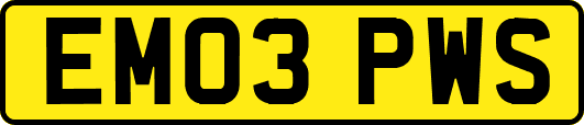 EM03PWS