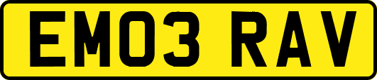 EM03RAV