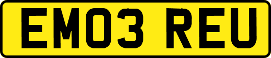 EM03REU