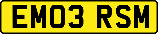 EM03RSM