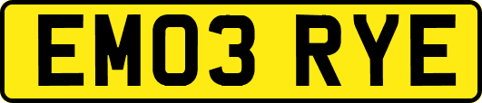 EM03RYE