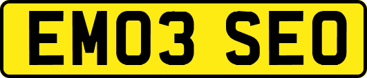 EM03SEO