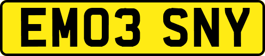 EM03SNY