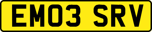 EM03SRV