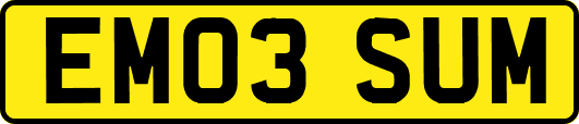 EM03SUM