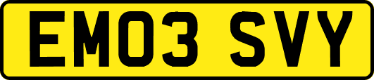 EM03SVY