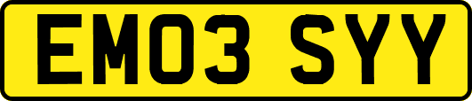 EM03SYY