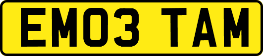 EM03TAM