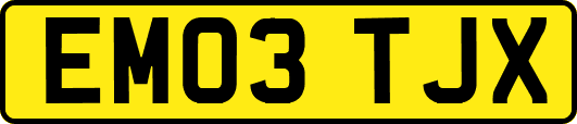 EM03TJX
