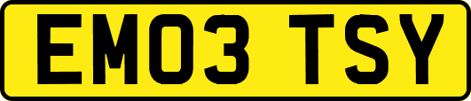 EM03TSY