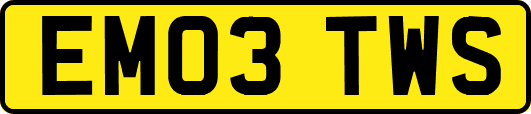 EM03TWS