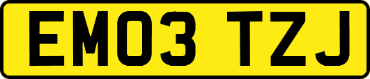 EM03TZJ