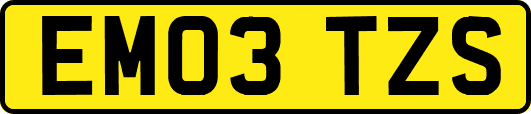 EM03TZS