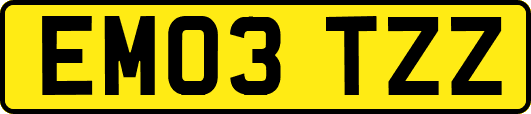 EM03TZZ
