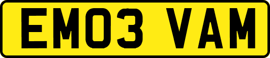 EM03VAM