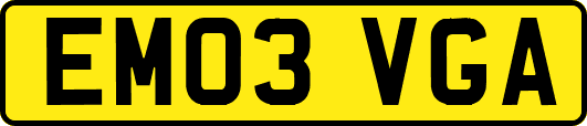 EM03VGA