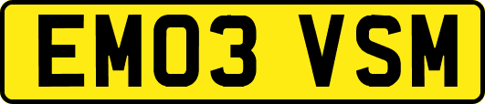 EM03VSM