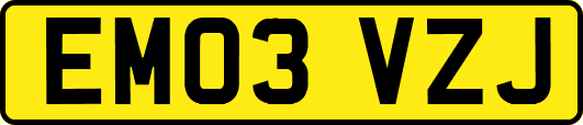 EM03VZJ
