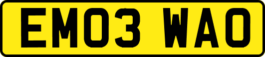 EM03WAO