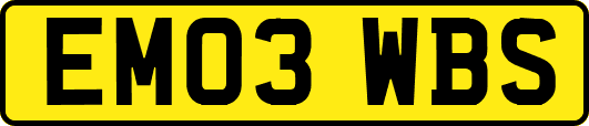 EM03WBS