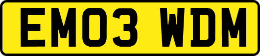 EM03WDM