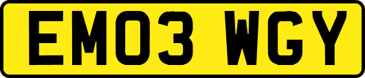 EM03WGY