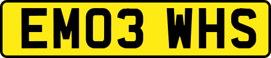 EM03WHS