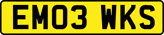 EM03WKS