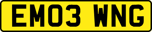 EM03WNG