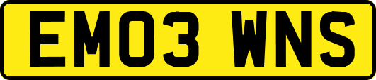 EM03WNS