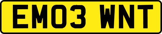 EM03WNT