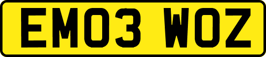 EM03WOZ