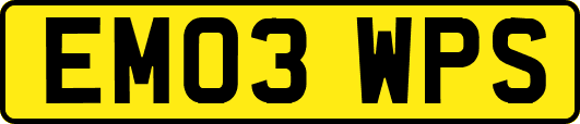 EM03WPS