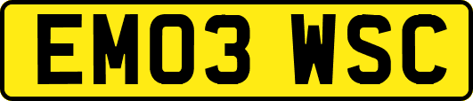 EM03WSC