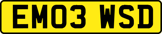 EM03WSD
