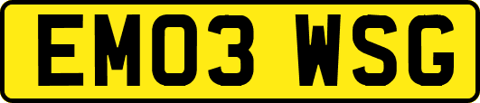 EM03WSG