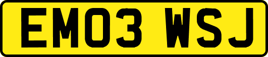 EM03WSJ