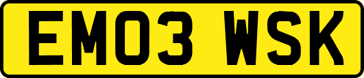 EM03WSK