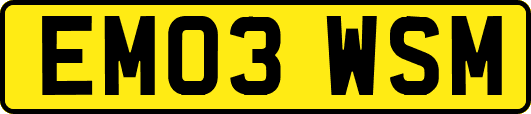 EM03WSM