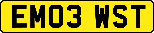 EM03WST