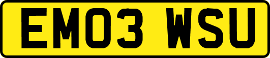 EM03WSU