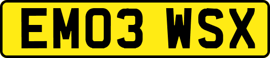 EM03WSX