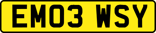EM03WSY
