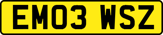 EM03WSZ