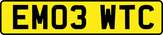 EM03WTC