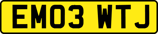 EM03WTJ