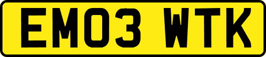 EM03WTK