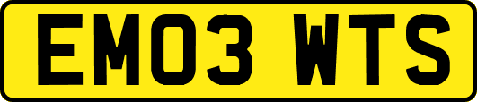 EM03WTS