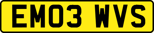 EM03WVS